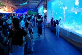 美人鱼剧场