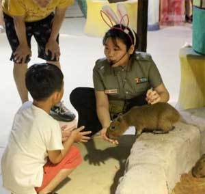 科普教育